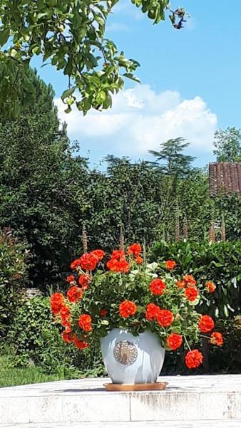 Le Mazet D'Olt Bed & Breakfast Altillac Ngoại thất bức ảnh